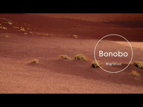 Bonobo : Grains