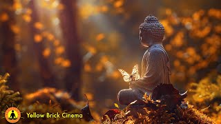 Forest Meditation Music, Soothing Relaxation, Stress Release Music, Calming Songs, Forest Ambience