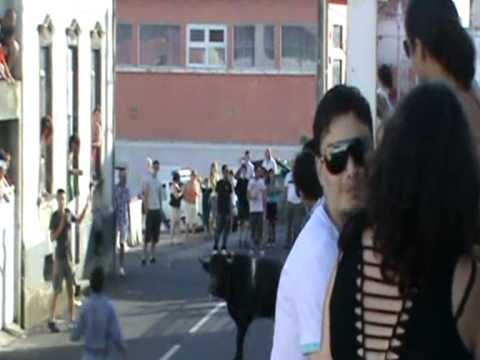 Tourada bôdo - Porto Judeu - 1ºe 2º touro