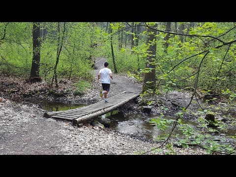 Trail Modřanskou roklí