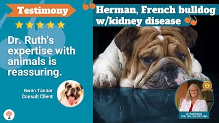 Dog w Kidney Disease & Heart Failure Used Assisi Loop Lounge Improved Condition | Dr. Ruth Roberts