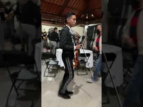 “DELANTE DE MI” Mariachi Internacional Los Pérez