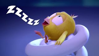 Chicky Takes a Nap | Where's Chicky? | Cartoon Collection in English for Kids | New episodes