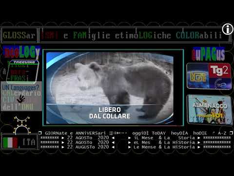 TITOLi TG1 sera 22 agosto 2020 Sabato: boom contagi covid anche in Italia