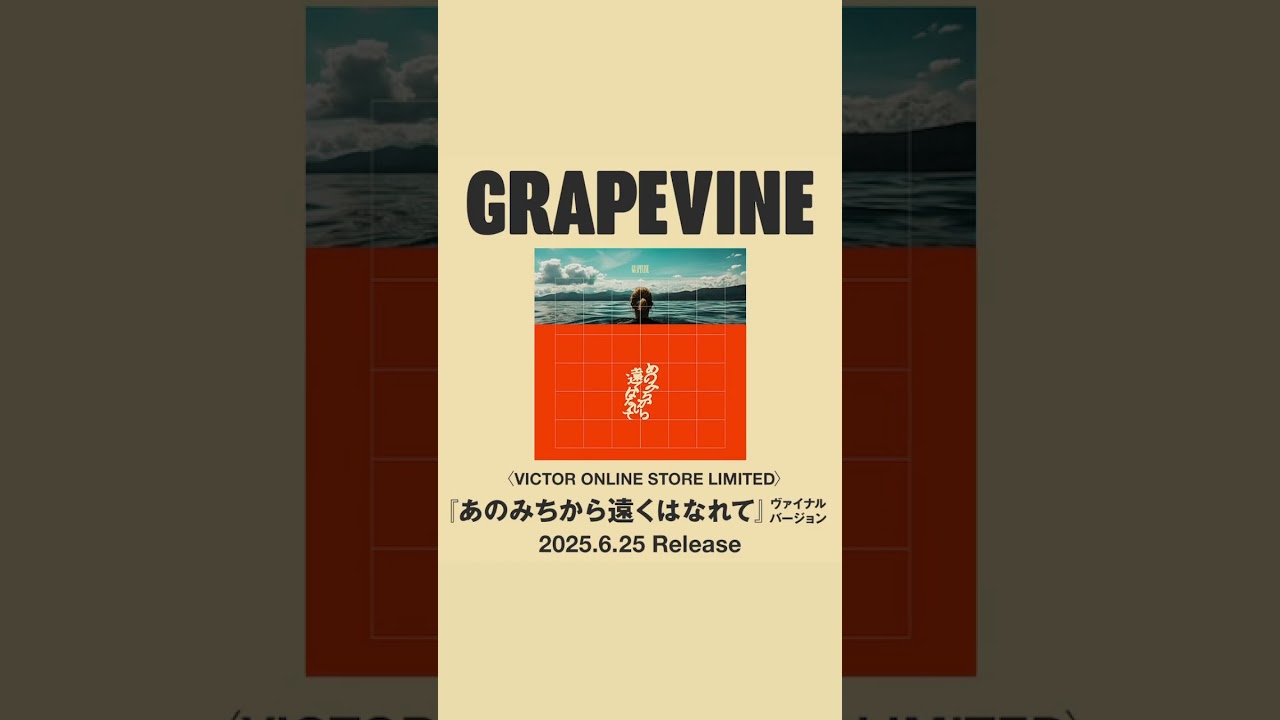 #grapevine #アミーチー