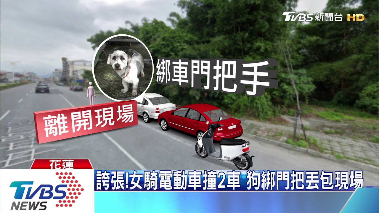 誇張！女騎電動車撞2車　狗綁門把丟包現場