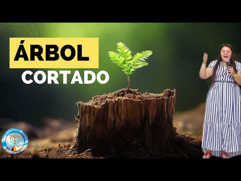 ÁRBOL CORTADO - Coro Restauración