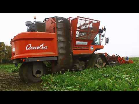 Harvesting Beets with new Agrifac Quatro.