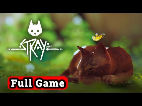 STRAY Full Gameplay Deutsch Komplettes Gameplay mit ALLEN ERINNERUNGEN & AUFGABEN ohne Kommentar