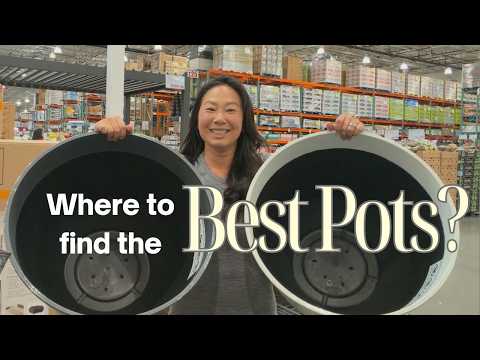 Home Depot Plastic Planters