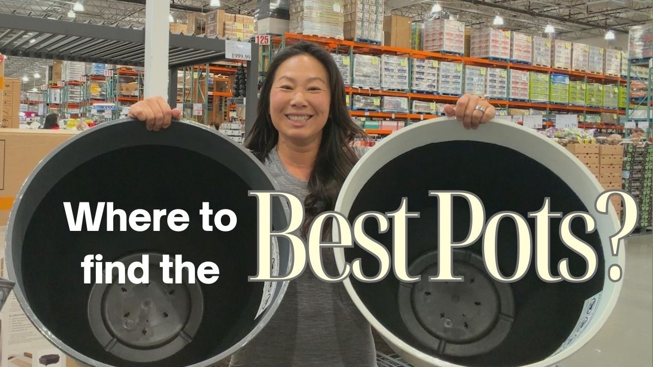 I Compared Garden Pots at Costco, Home Depot & Lowe’s (Here’s the Best Deal)
