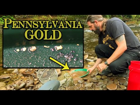 NICE! Gold Found Easily in Pennsylvania! Gold Prospecting in PA