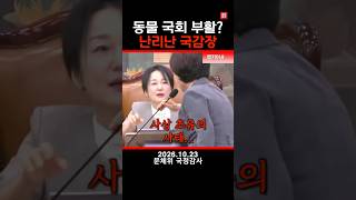여전한 국가내란당 근황 -여성 의원편-