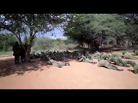 Botswana Defence Force - BDF