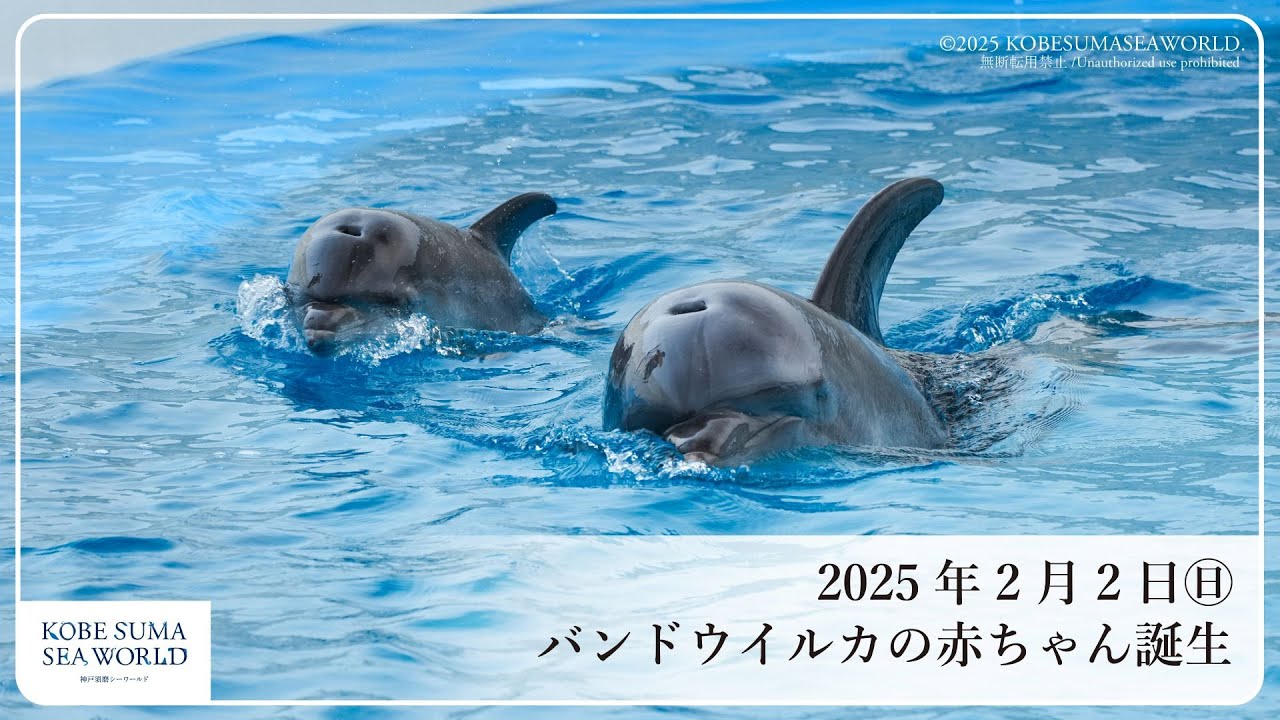 神戸須磨シーワールド】 - すべてのいのちは、こんなに大きい