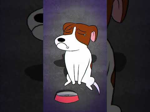 A sad cat and dog song/Una triste canción de perros y gatos |Esto es algo de todo