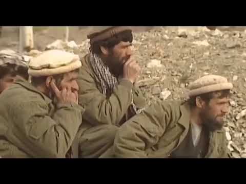 Taliban Monkey Fun With Rocket Launcher Bomb