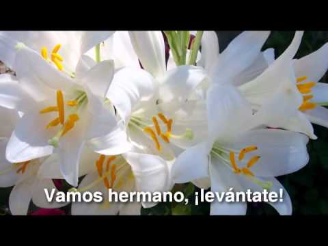 La Vida Es Hoy video