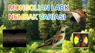 Download lagu MONGOLIAN LARK SUARA VARIASI NEMBAK GACOR MASTERAN MP3 AUDIO mp3 Download lagu MONGOLIAN LARK SUARA VARIASI NEMBAK GACOR MASTERAN MP3 AUDIO mp3