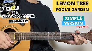 Lemon Tree - Fool's Garden (Guitar Tutorial) Easy Chords For Beginner! No Capo!