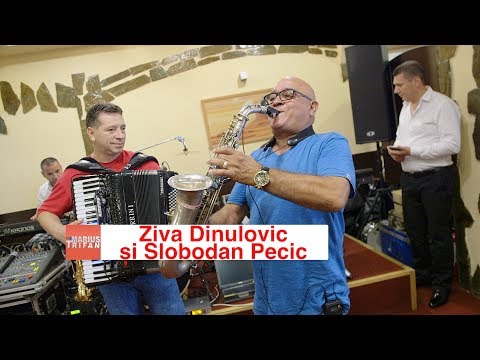 Ziva Dinulovic & Slobodan Pecic - Program Sarbesc la Severin 2017 LIVE nunta Ana-Maria si Emin