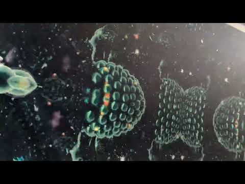 Galaxy5111 - Mood #37