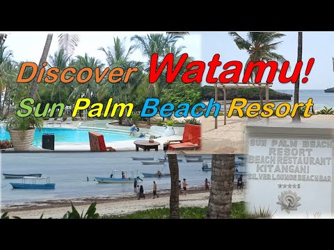 Watamu Paradise! Sun Palm Beach Resort Walkaround & Beach View #kenya #africa #resort #beach #watamu