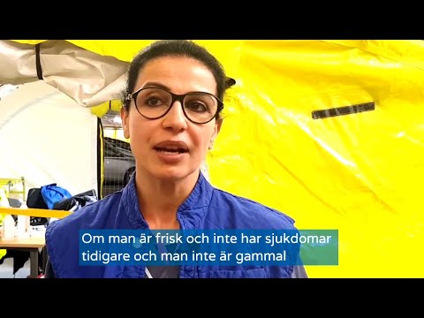 Vad händer i det gula tältet?