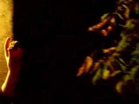 Die Frikadelle fliegt