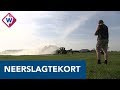 Extra maatregelen vanwege gevolgen droge zomer - OMROEP WEST