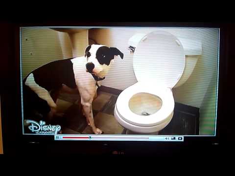 Jessie Romancing the Crone Part 2