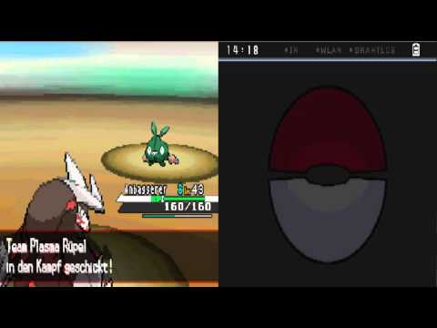 Let's Race Together: Pokémon Weiss #34 [Ger] - Der Alte Palast