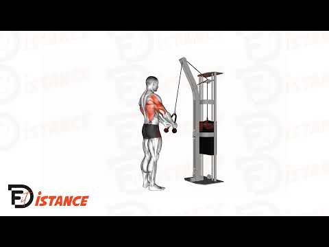 Exercice Pullover à la corde