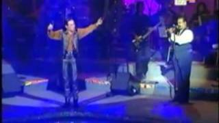 Download lagu Spring Kita Ditakdir Jatuh Cint mp3 Download lagu Spring Kita Ditakdir Jatuh Cint mp3