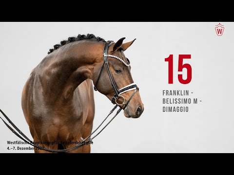Westfälische Hauptkörung 2022 Reitpferde: Kat.Nr. 15  Franklin  -  Belissimo M  -  Dimaggio