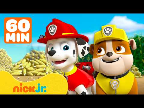 PAW Patrol's Bravest Buddy Moments w/ Rubble & Marshall! 🐾 | Rubble & Crew