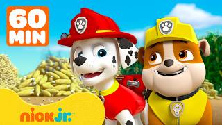 PAW Patrol's Bravest Buddy Moments w/ Rubble & Marshall! 🐾 | Rubble & Crew MQDEFAULT Thumbnail