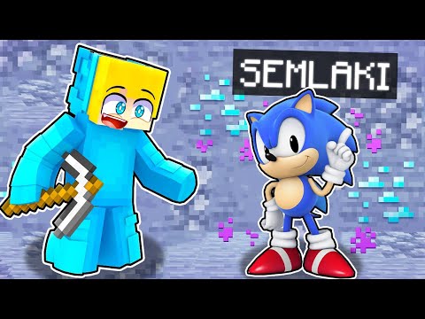 ICH SPIELE MINECRAFT als HILFREICHER SONIC!