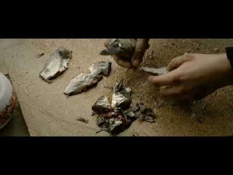 Trailer | BIFF2022 물고기를 향한 설교 Sermon to the Fish | 아시아영화의 창