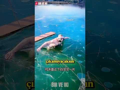 Cadının Deliğine Girdi, Sonu Şok! 😱🧙‍♀️