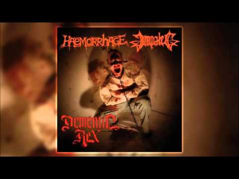 download lagu mp3 mp4 Haemorrhage Impaled Dementia Rex Split 2003, download mp3 Haemorrhage Impaled Dementia Rex Split 2003 free downloadn, video klip Haemorrhage Impaled Dementia Rex Split 2003