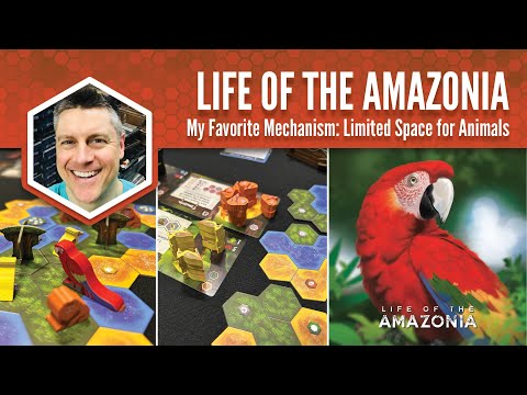 Life of the Amazonia: My Favorite Mechanism