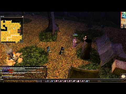 Let's Play Neverwinter Nights (German) 141 - Kapitel 2: Das Druiden Lager