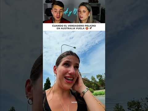 Crees que las arañas son el mayor peligro en Australia hasta que vuela este