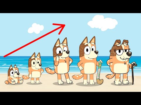 Chilli Heeler GROWING UP EVOLUTION  | Bluey