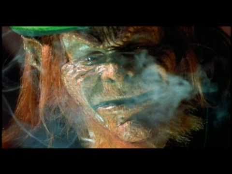 Leprechaun In The Hood Trailer