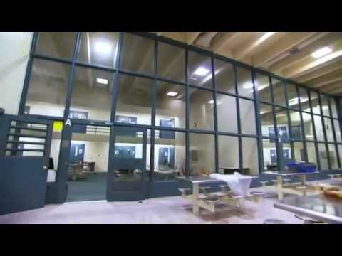 FLATLINE - PRISON SONG / MIXTAPE LEAK