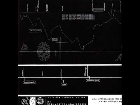 Amorphous Androgynous (Future Sound Of London) - Swab