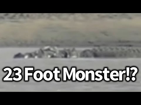 オーストラリアで発見された巨大ワニ「マキシマス」