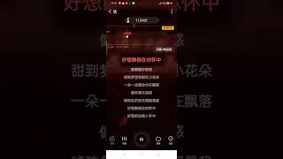 HAT NHAC TRUNG QUOC CUNG SUNSHINE 2